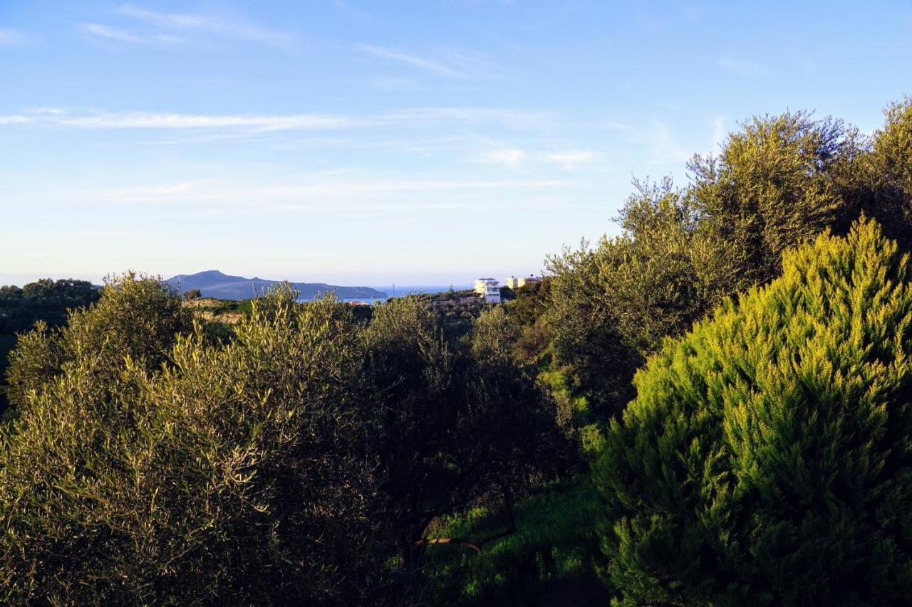 Olive Tree Hillside Apartment Stalós 외부 사진